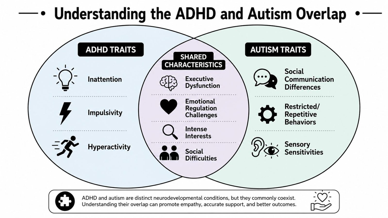 A Venn diagram comparing ADHD and autism traits with a center section highlighting their shared characteristics.