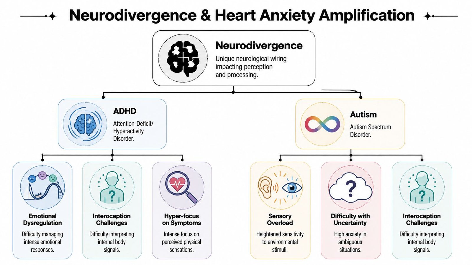 A flowchart explaining how ADHD and Autism lead to heart-related anxiety through various neurodivergent challenges.